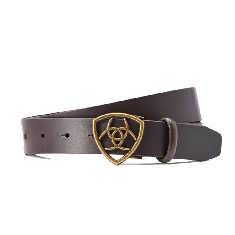 Ariat ADT The Shield Belt Cocoa